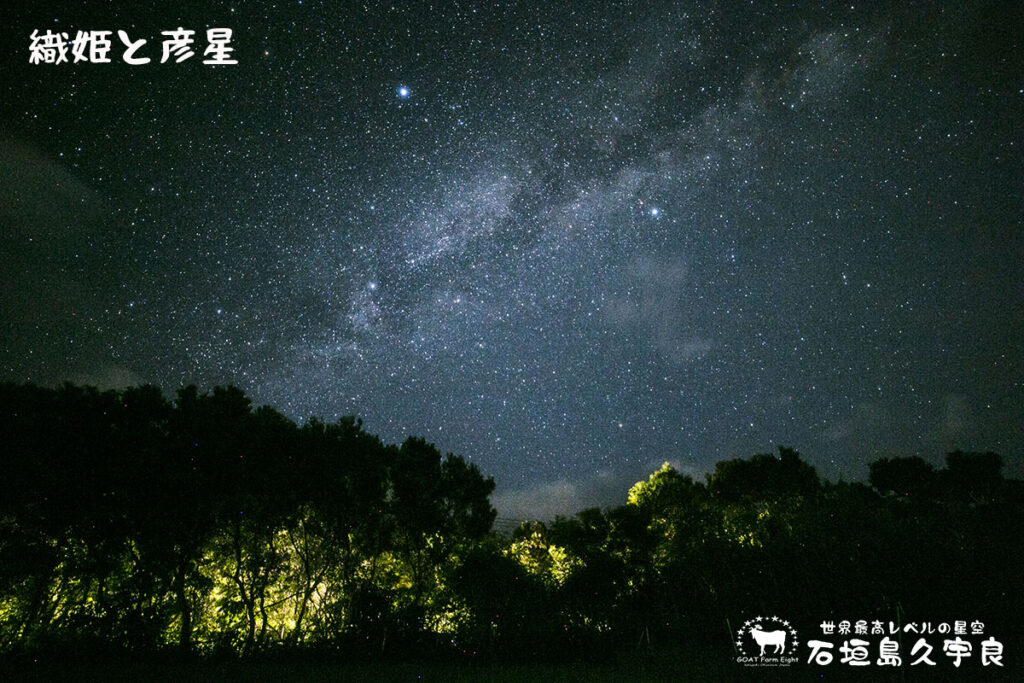 織姫と彦星石垣島久宇良