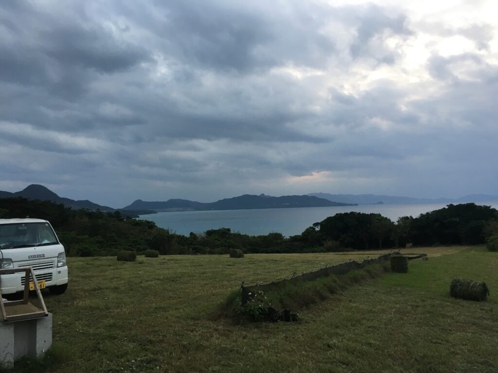 流れ星の丘での牧草収穫